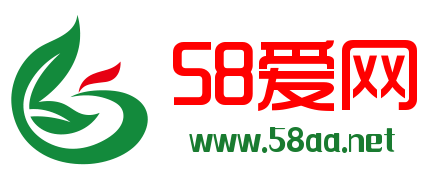 58爱网